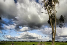 开云体育-意大利杯赛后走向成谜，法兰克福止住颓势，态度坚定，医务组通报恢复的简单介绍-开云体育